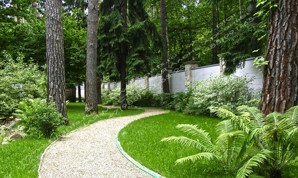 Дизайн лесного участка - садовая дорожка из гравия
